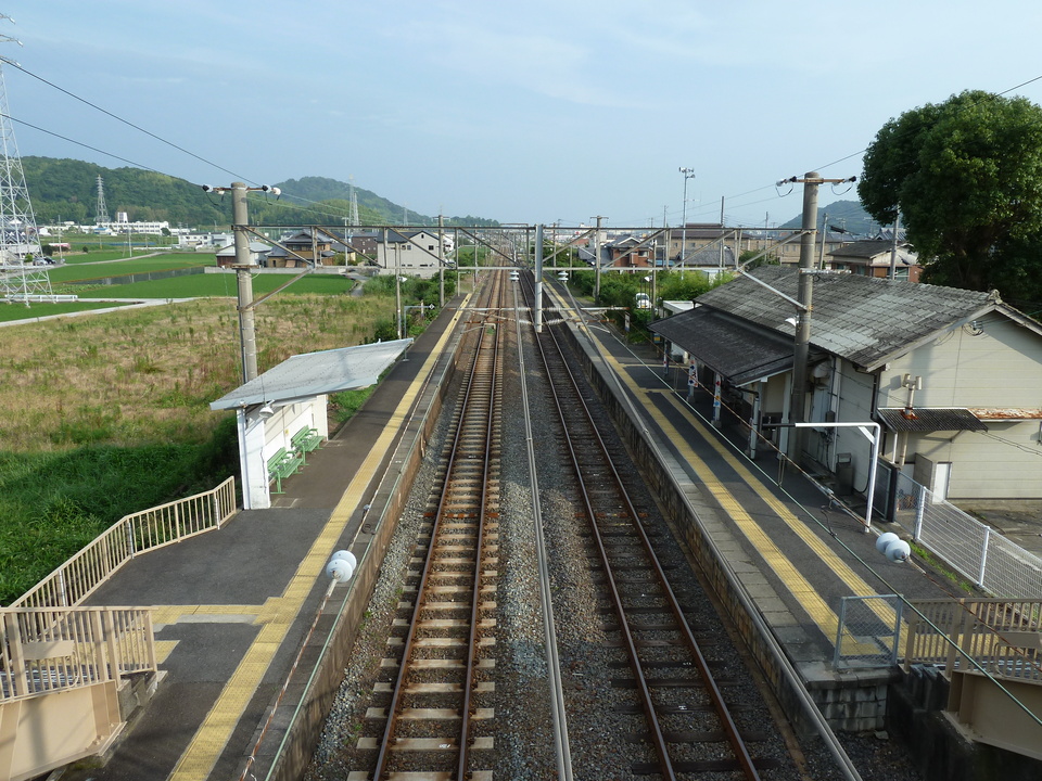 P1000583_mid.jpg