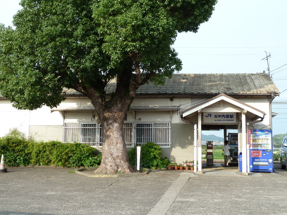 P1000591_mid.jpg