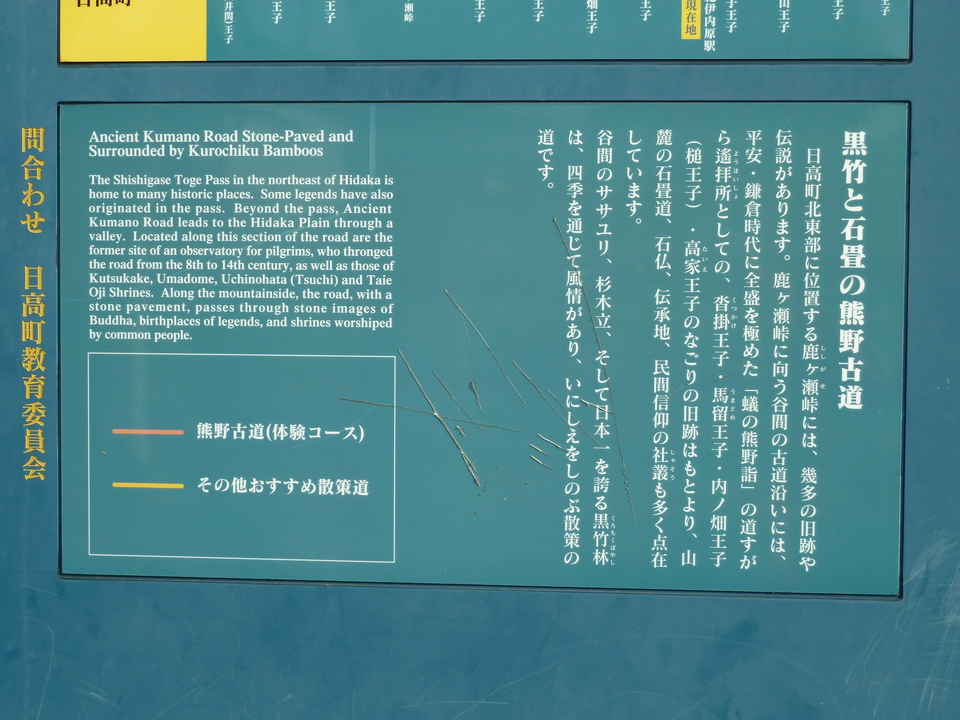 P1000594_mid.jpg