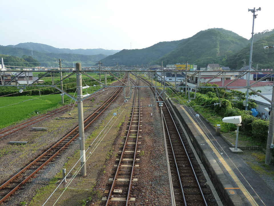 P1000603_mid.jpg