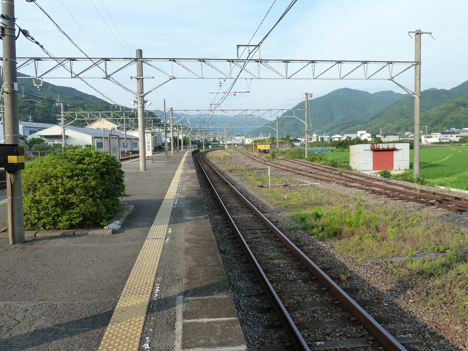 P1000605_mid.jpg
