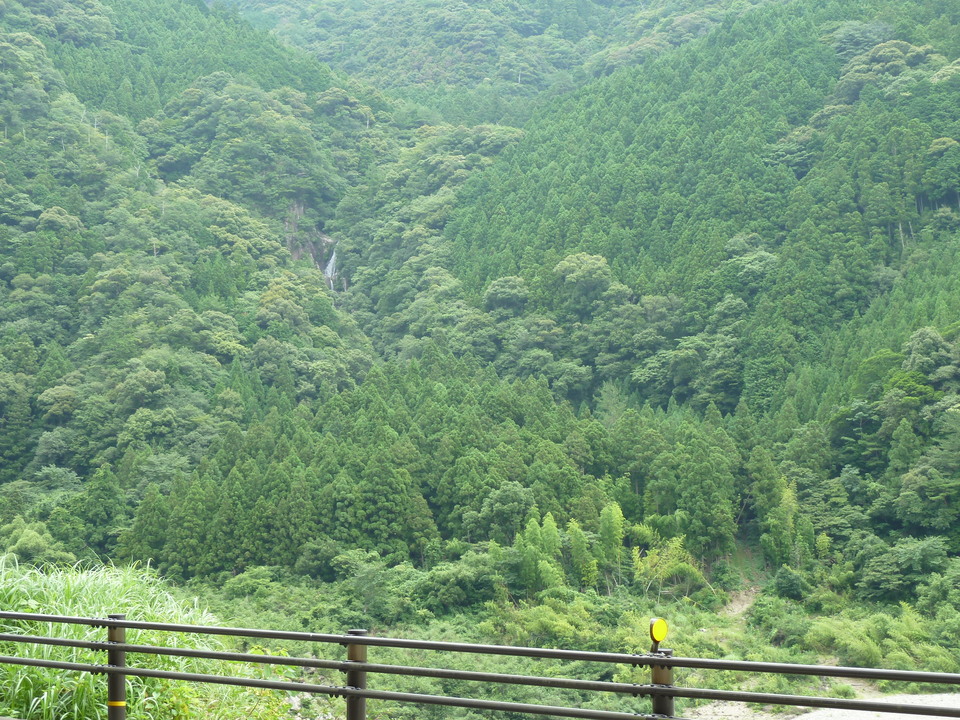 P1000647_mid.jpg