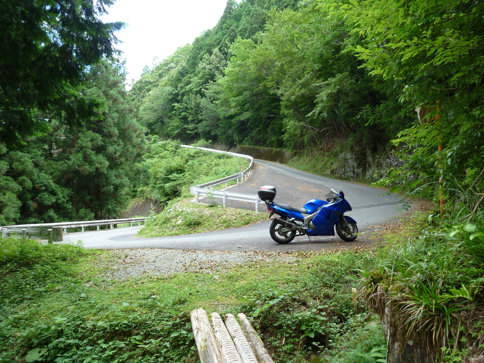 P1000758_mid.jpg