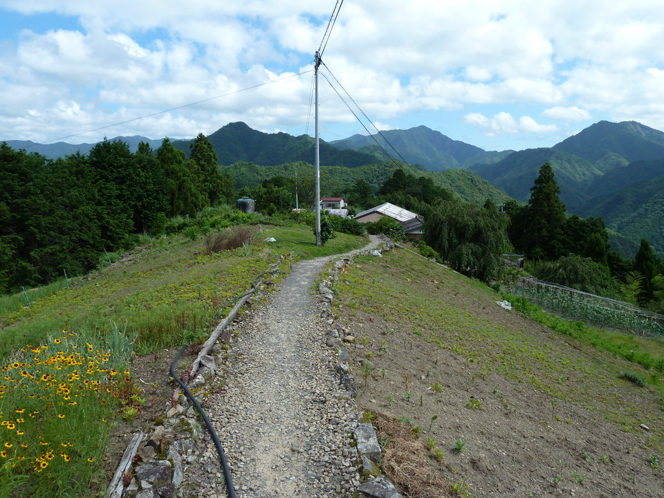 P1000771_mid.jpg