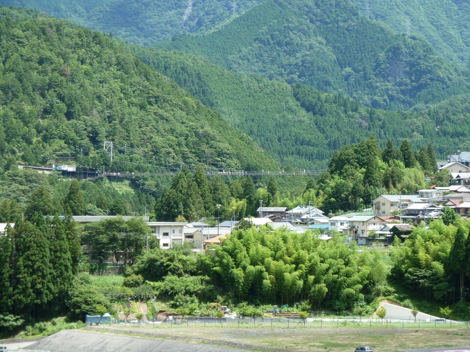 P1000869_mid.jpg