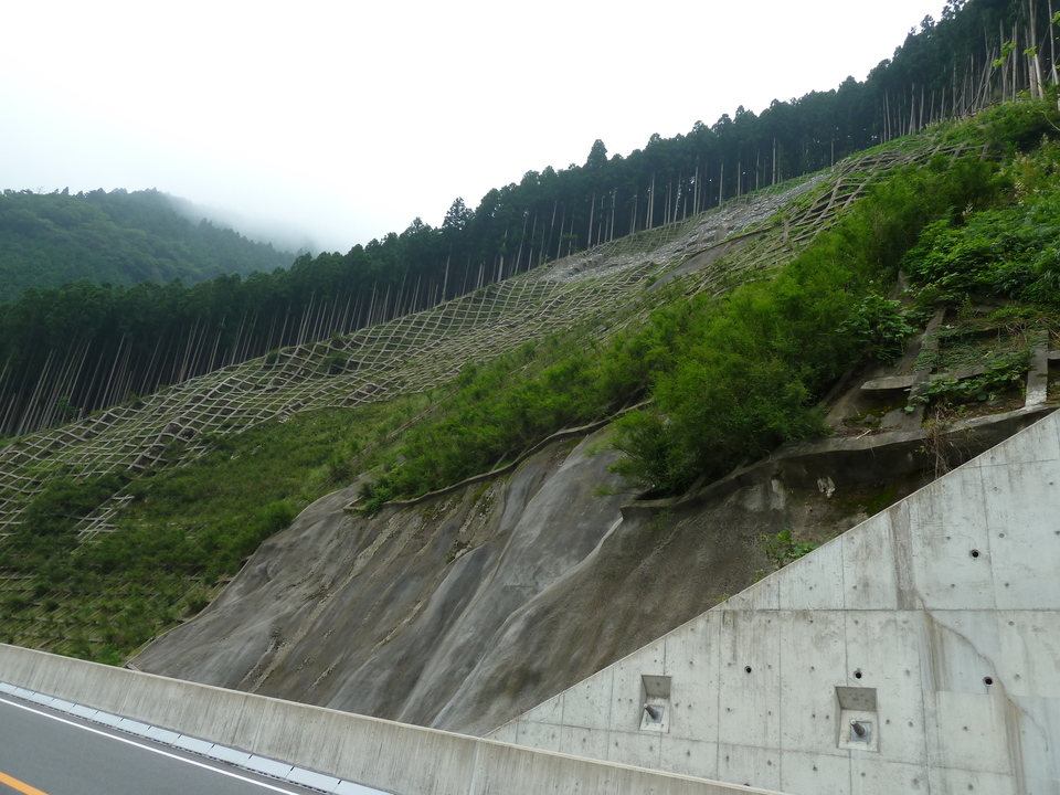 P1000954_mid.jpg