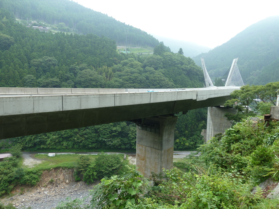 P1000965_mid.jpg