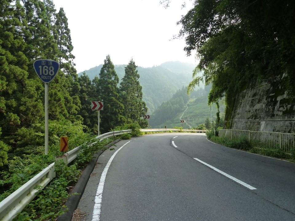 P1010073_mid.jpg