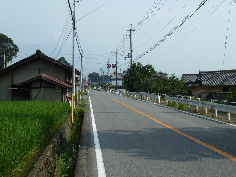 P1010101_mid.jpg