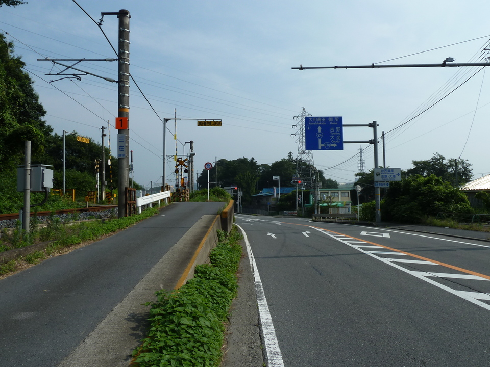 P1010115_mid.jpg