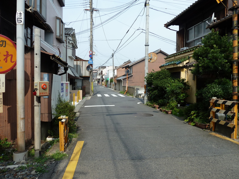 P1010150_mid.jpg