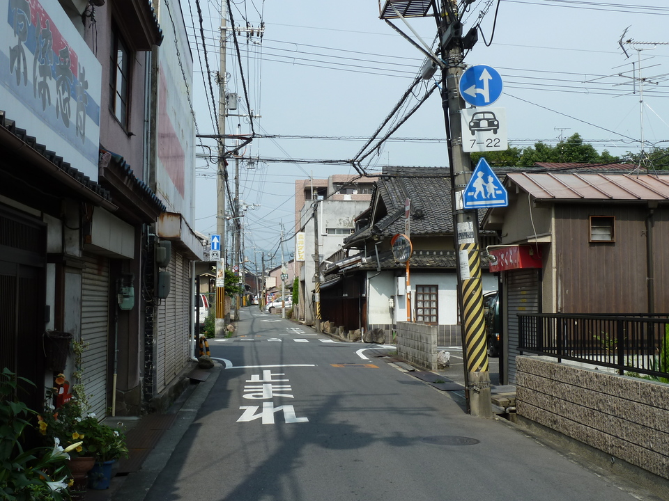 P1010151_mid.jpg