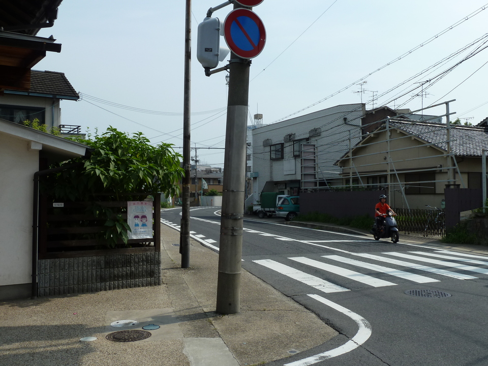 P1010155_mid.jpg