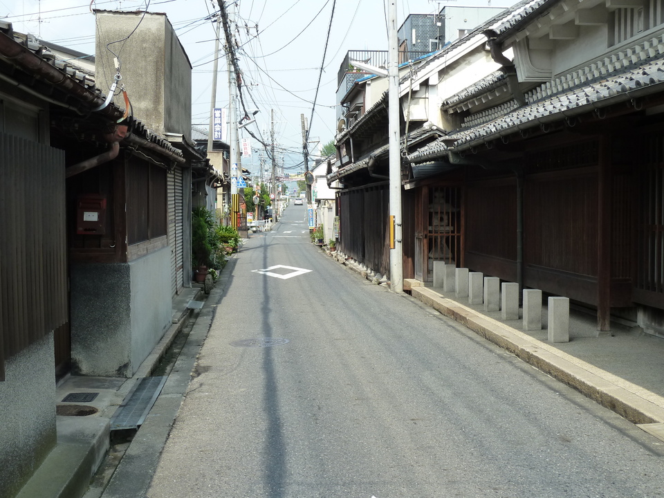 P1010157_mid.jpg