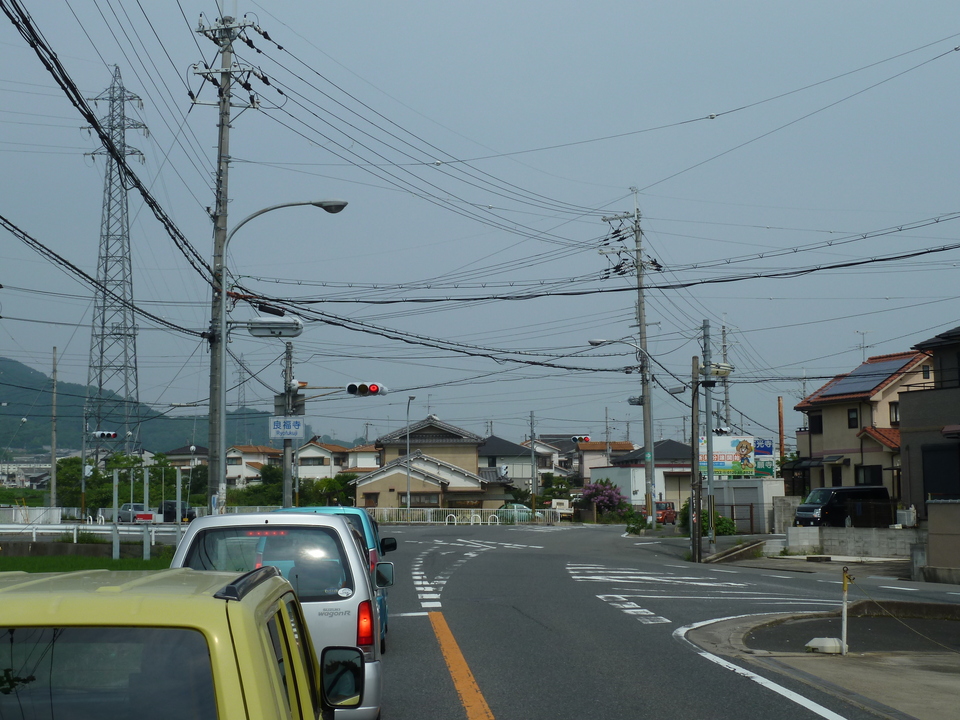 P1010172_mid.jpg