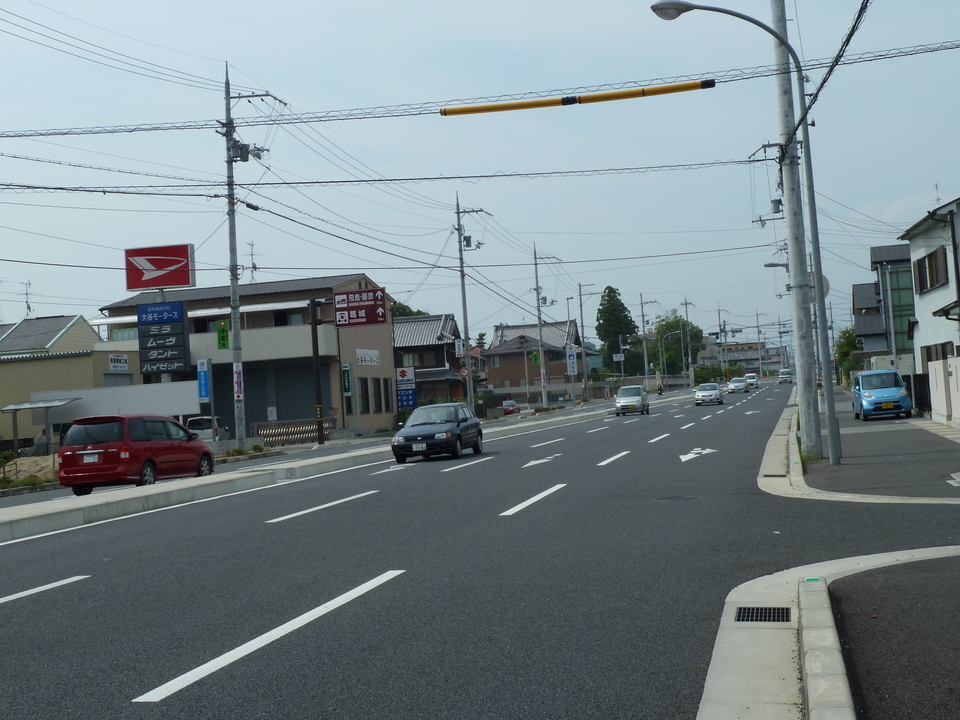 P1010191_mid.jpg