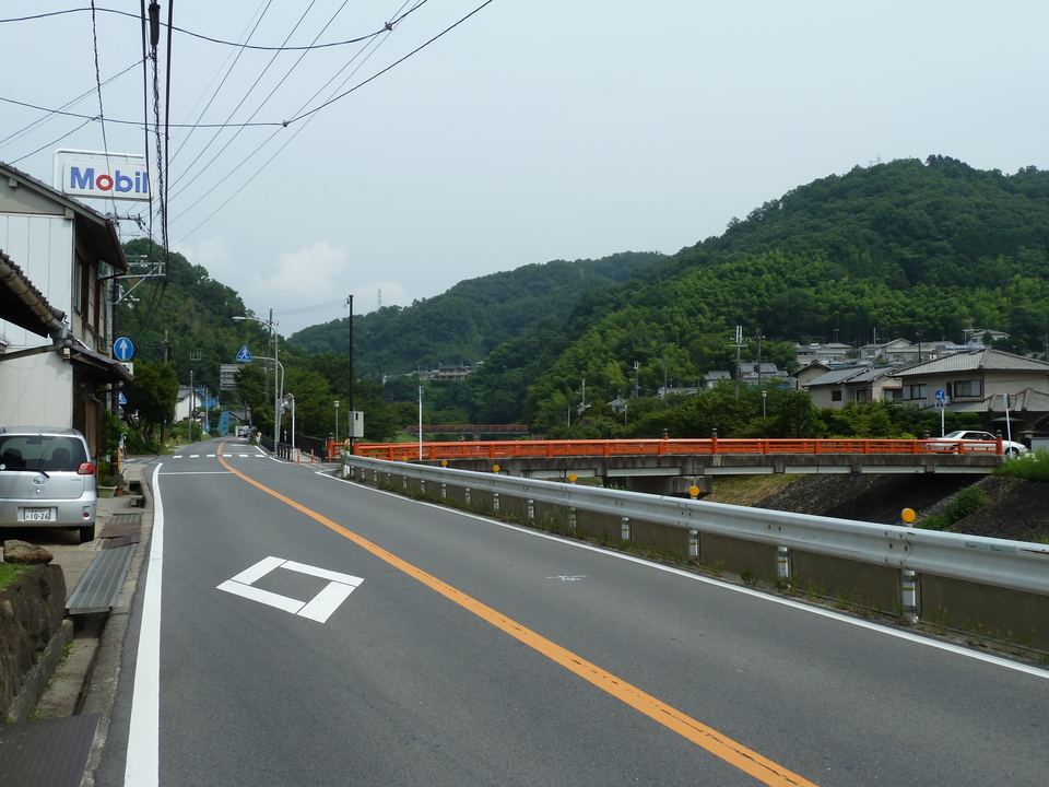 P1010200_mid.jpg
