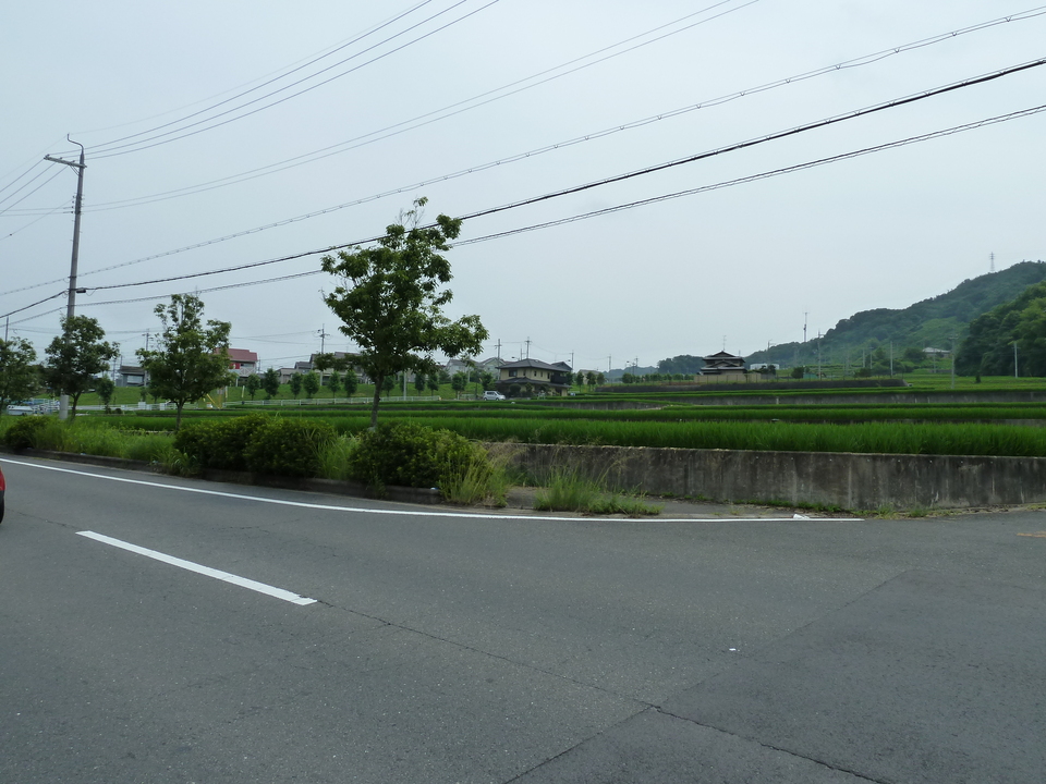 P1010210_mid.jpg