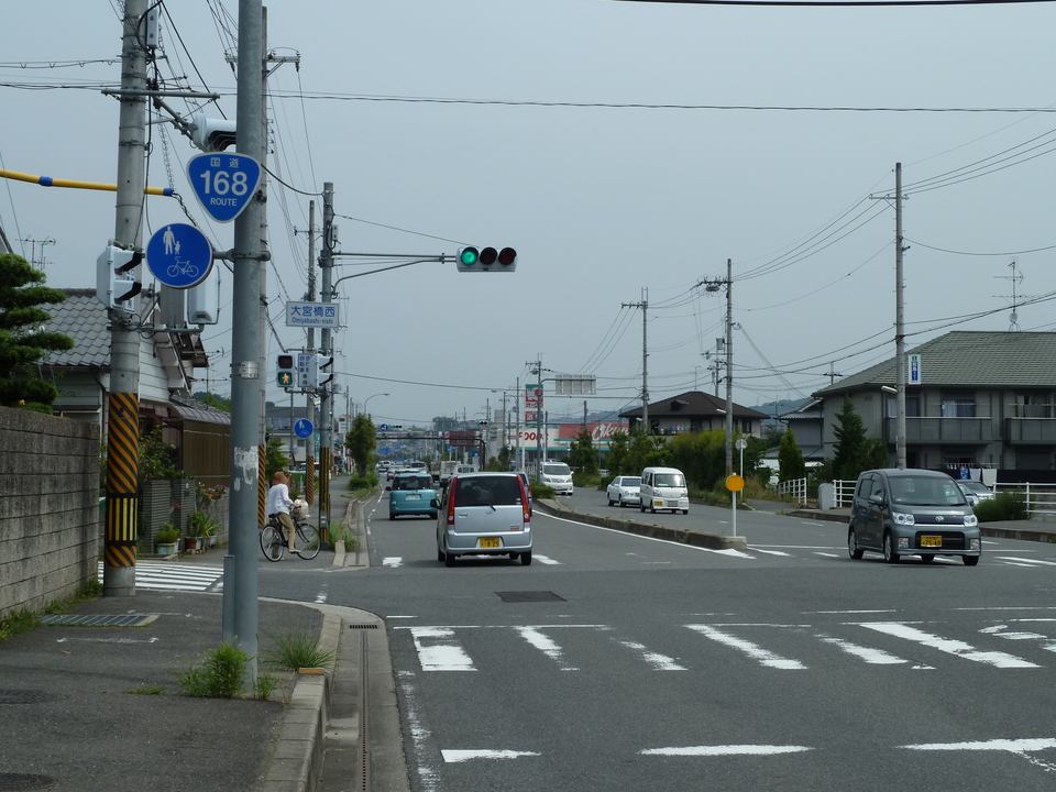 P1010223_mid.jpg