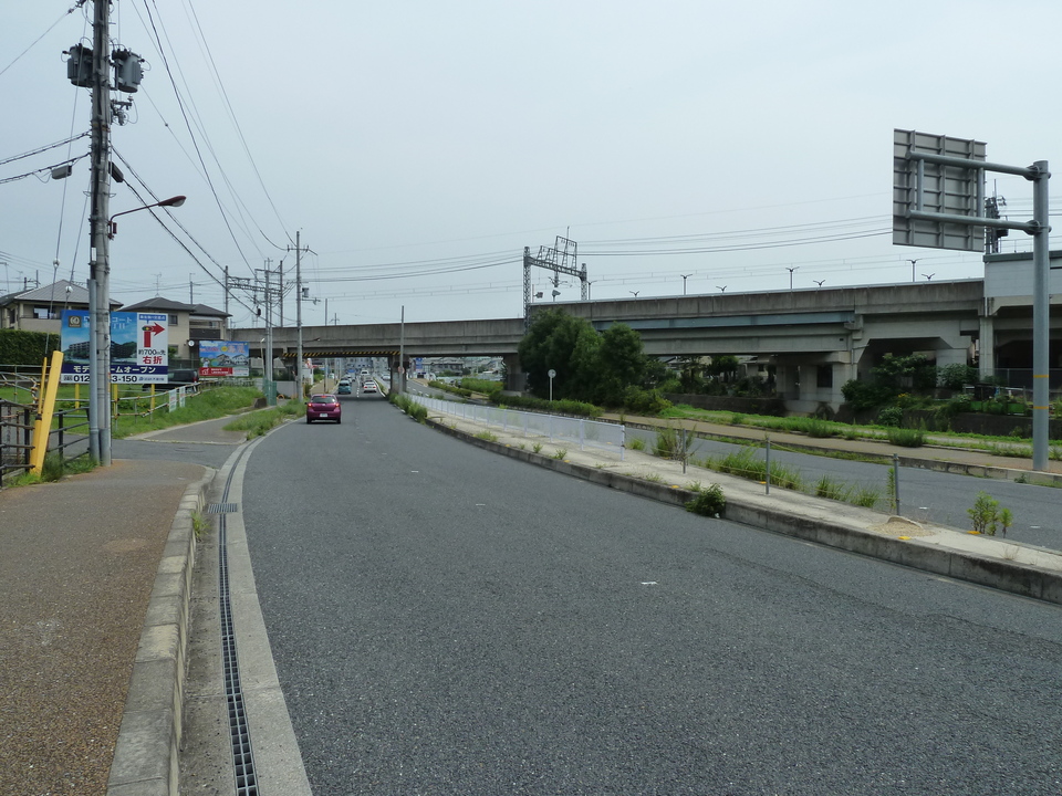 P1010227_mid.jpg