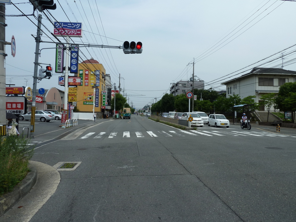 P1010234_mid.jpg