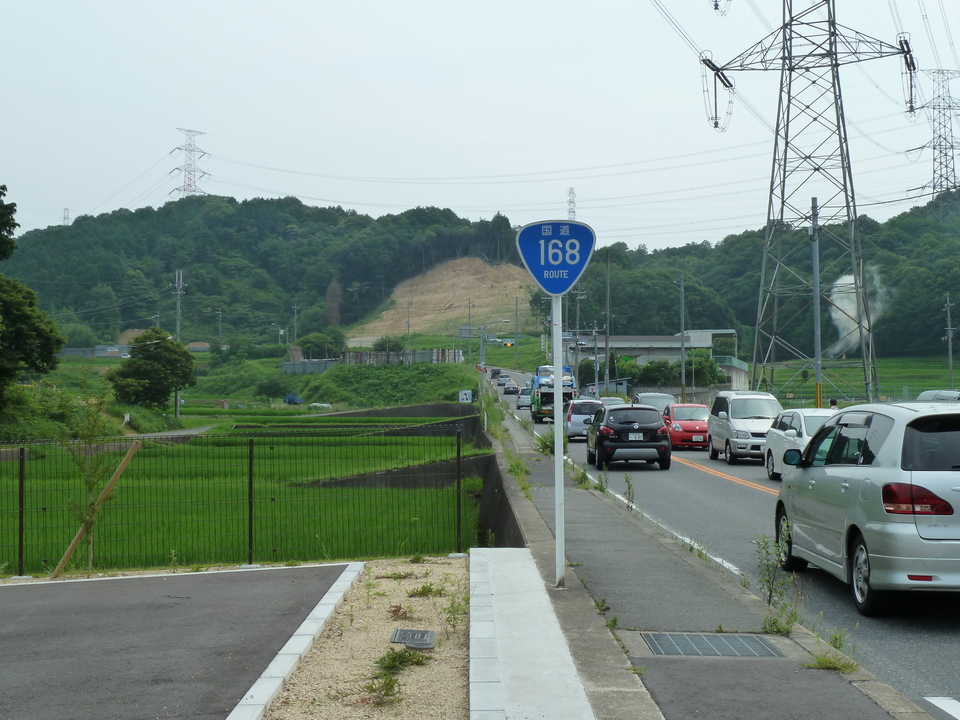 P1010239_mid.jpg