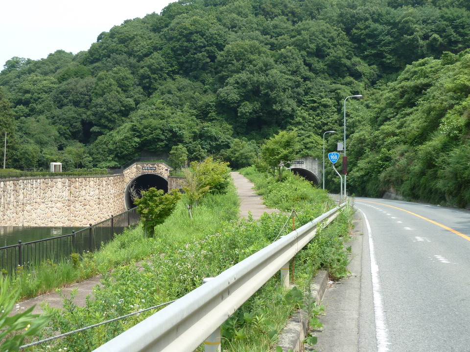 P1010246_mid.jpg