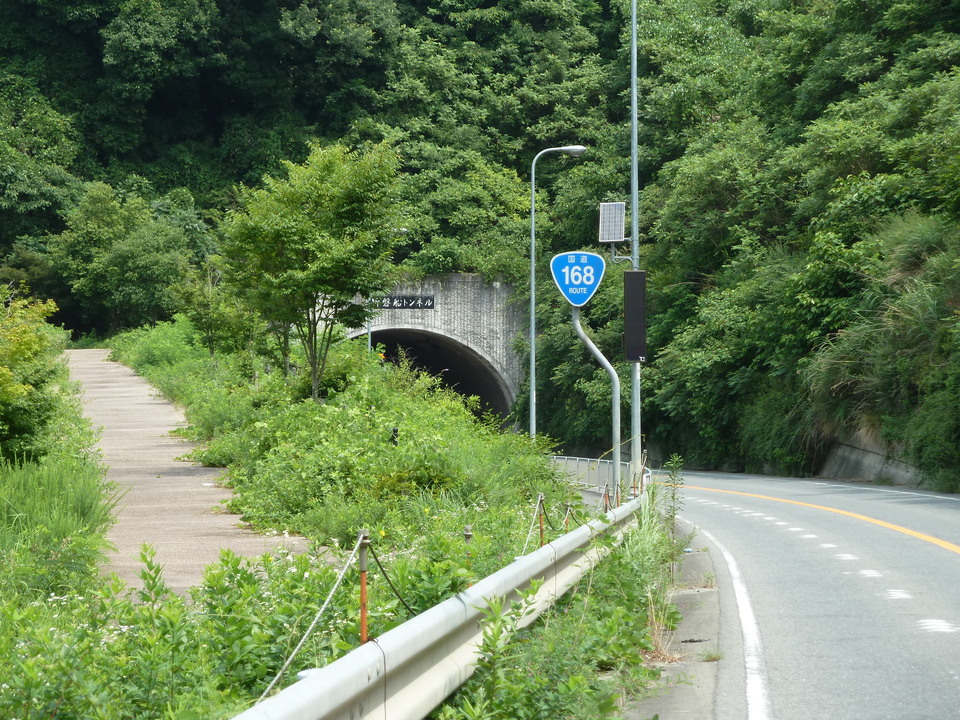 P1010247_mid.jpg
