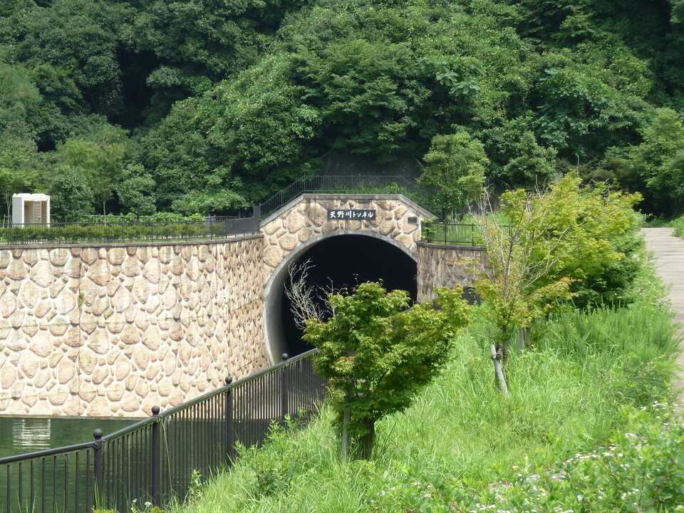 P1010248_mid.jpg