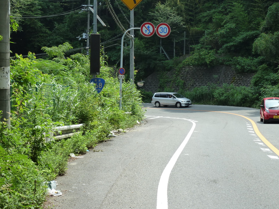 P1010251_mid.jpg