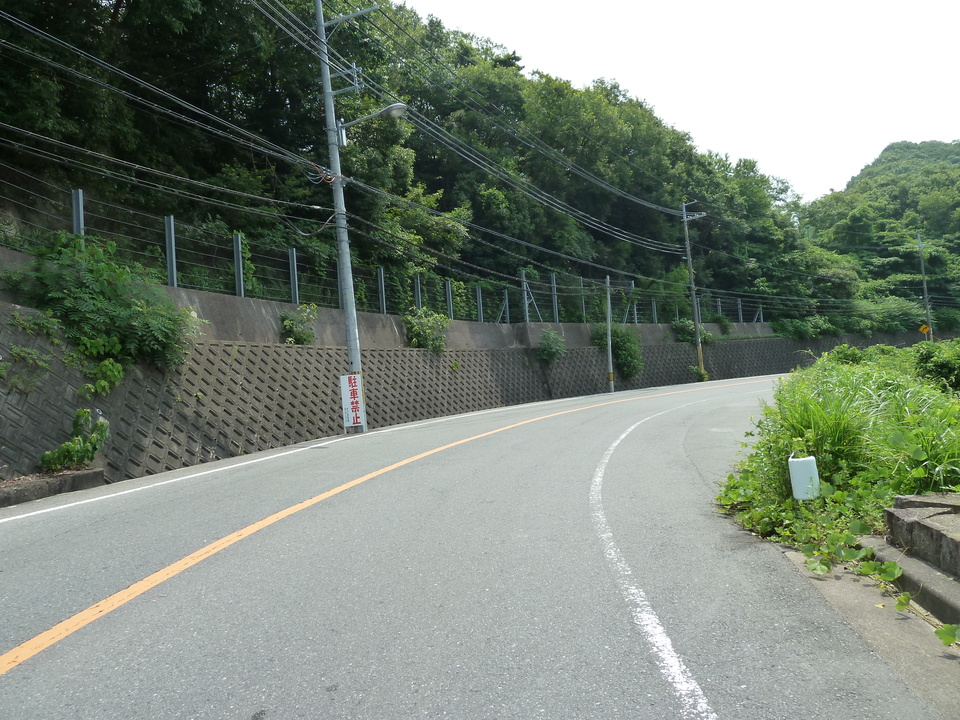 P1010253_mid.jpg