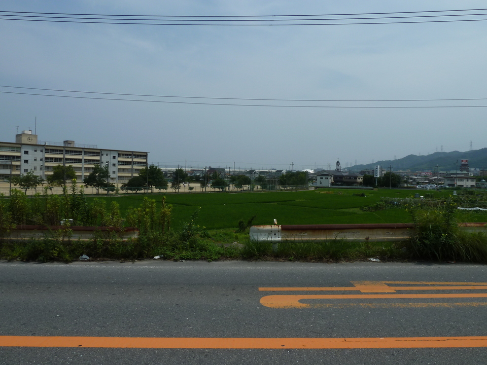 P1010259_mid.jpg
