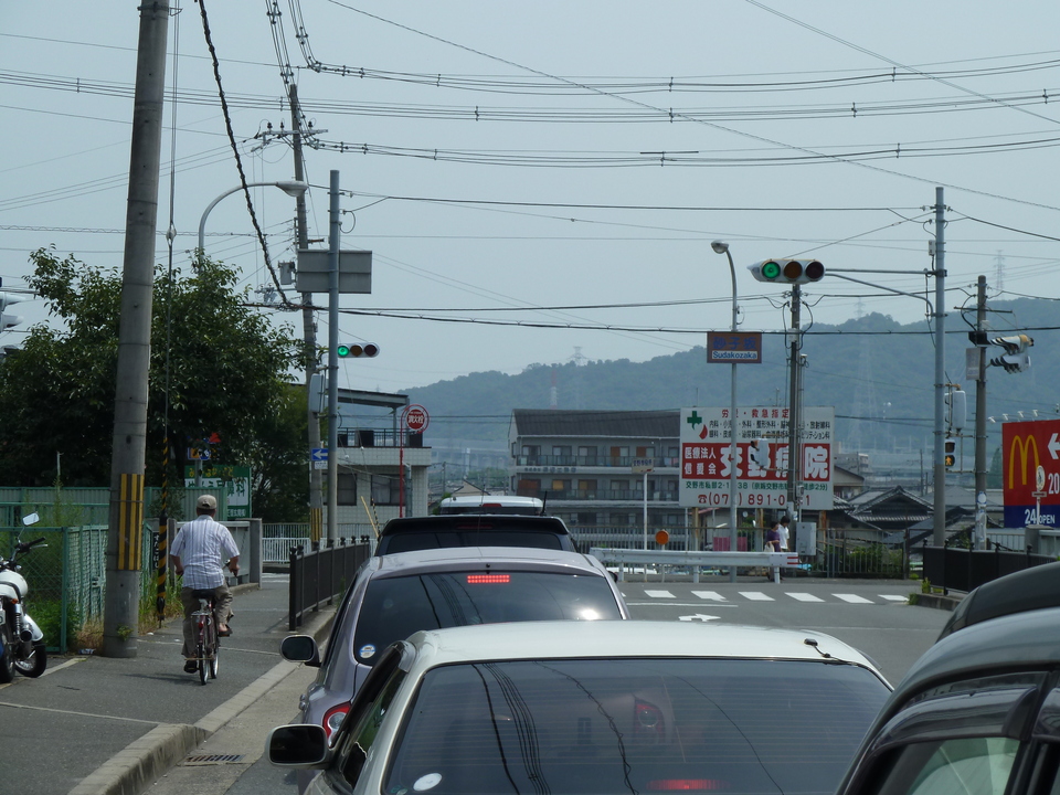 P1010267_mid.jpg