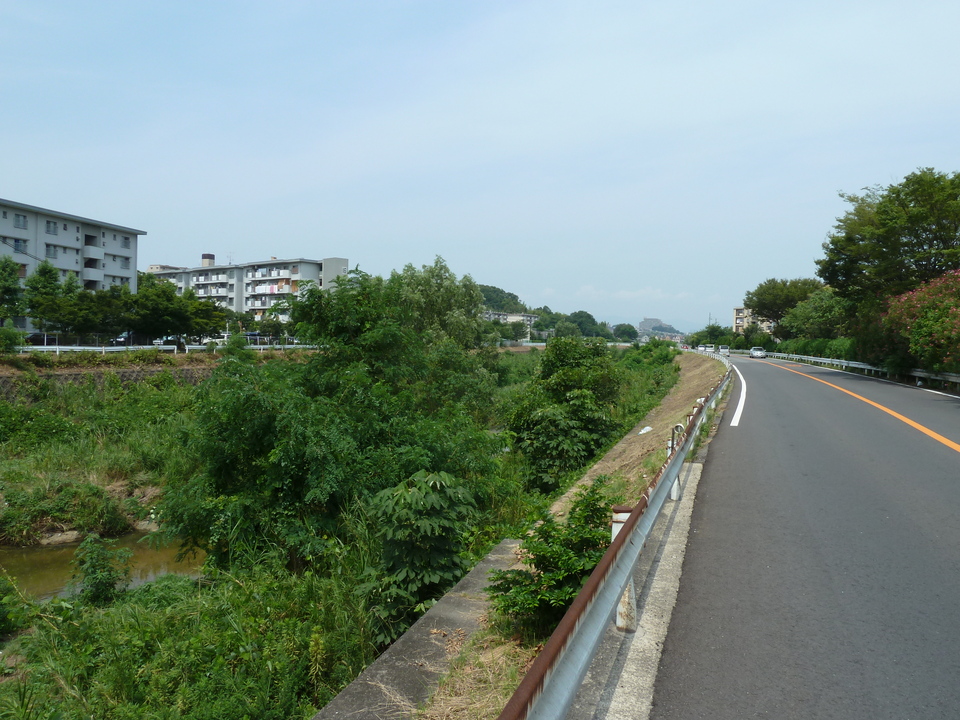P1010270_mid.jpg