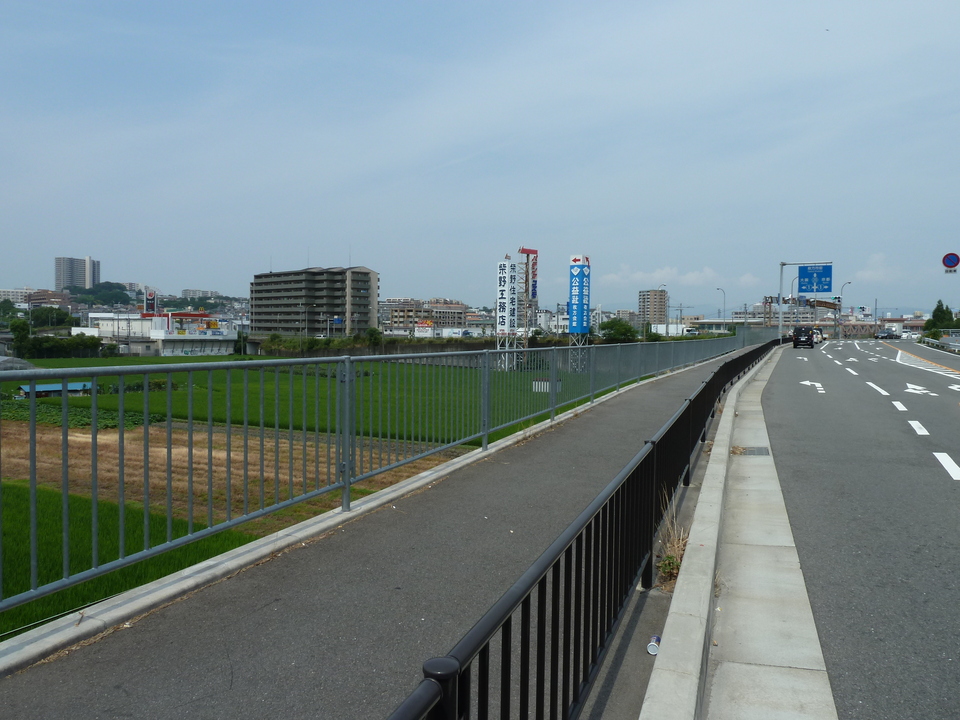 P1010277_mid.jpg