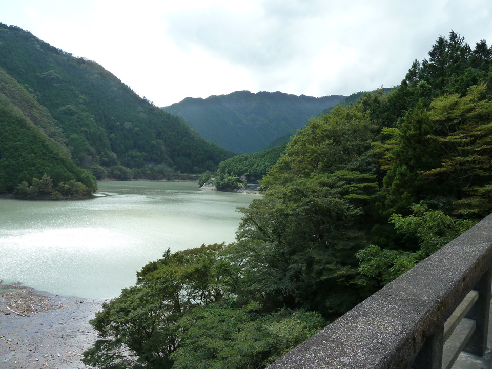 P1010578_mid.jpg