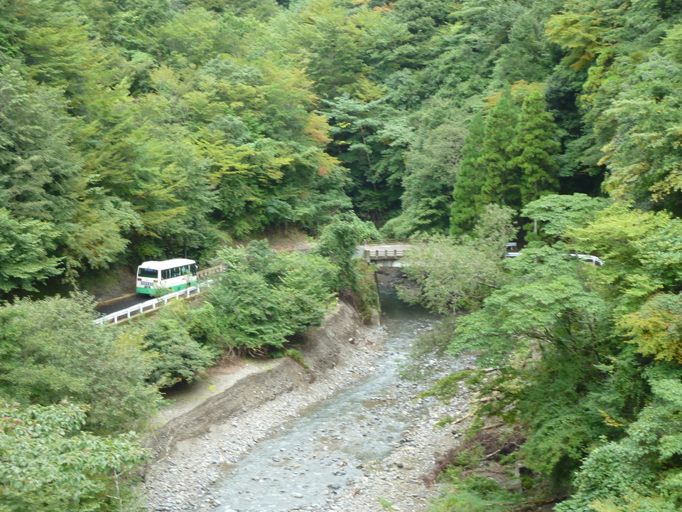 P1010600_mid.jpg