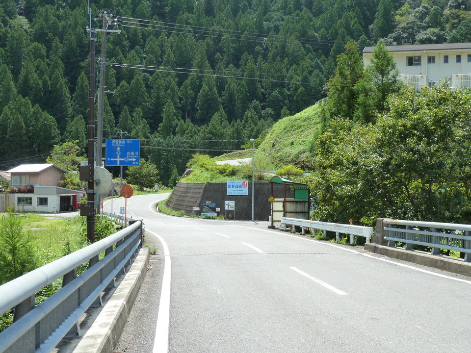 P1010682_mid.jpg