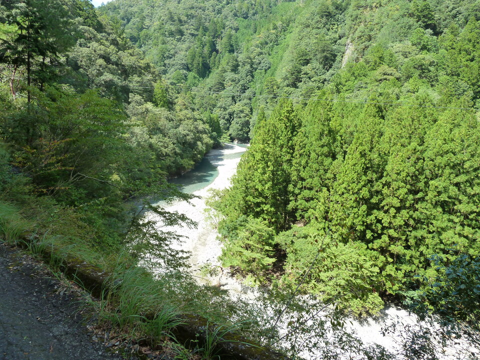 P1010685_mid.jpg
