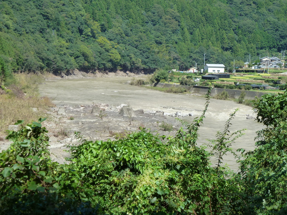P1010802_mid.jpg