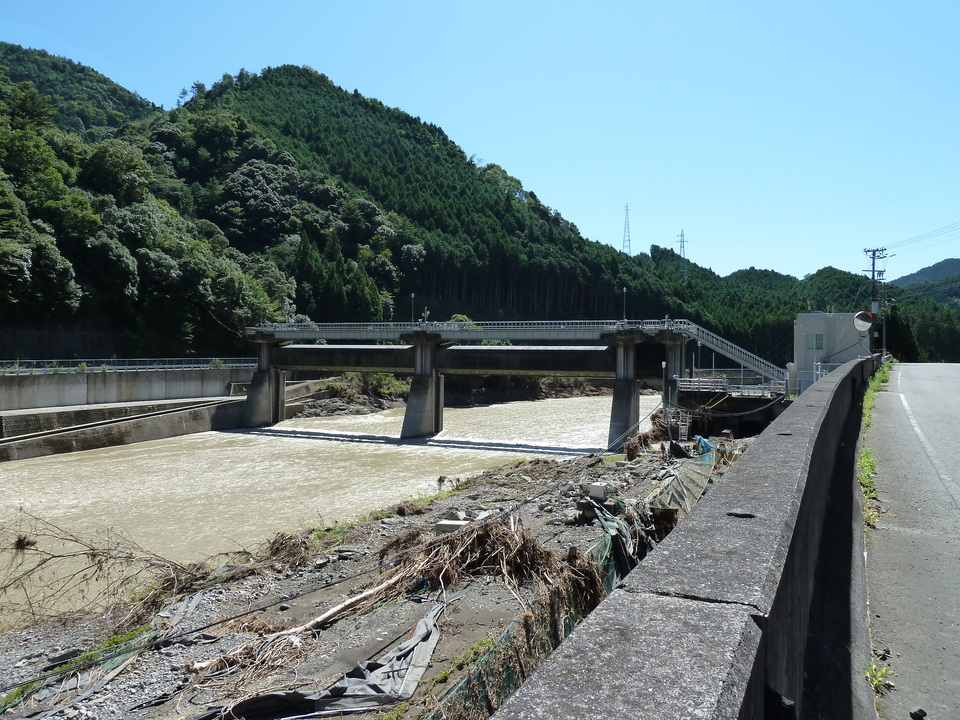 P1010810_mid.jpg