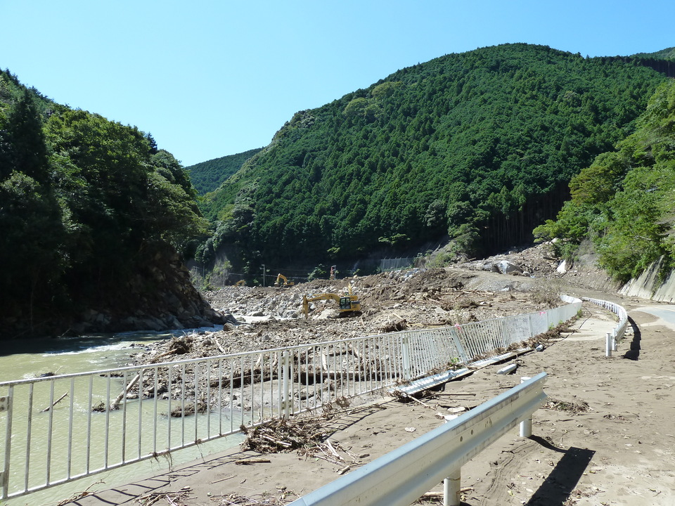 P1010816_mid.jpg