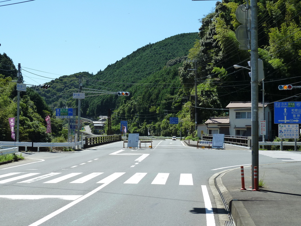 P1010817_mid.jpg