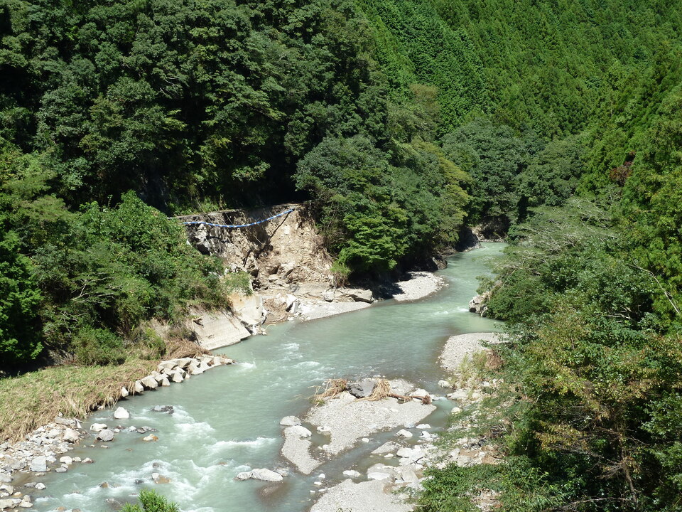 P1010824_mid.jpg