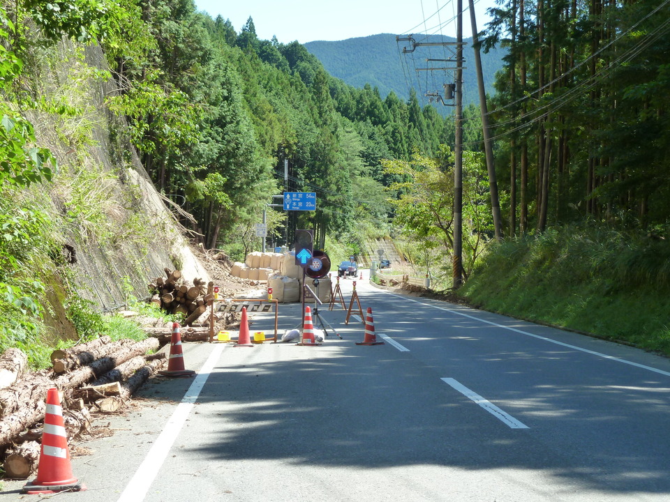 P1010827_mid.jpg