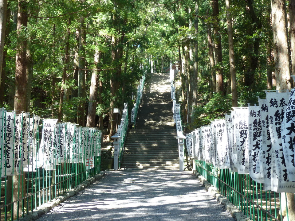 P1010853_mid.jpg