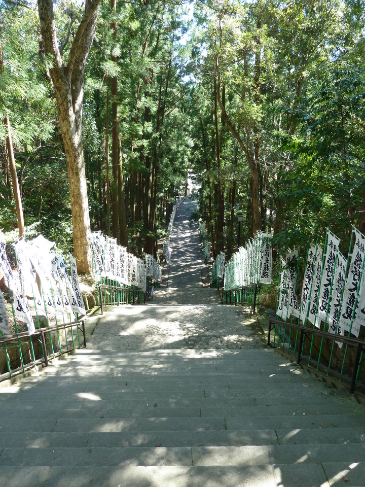 P1010860_mid.jpg