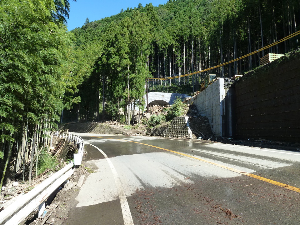 P1010879_mid.jpg