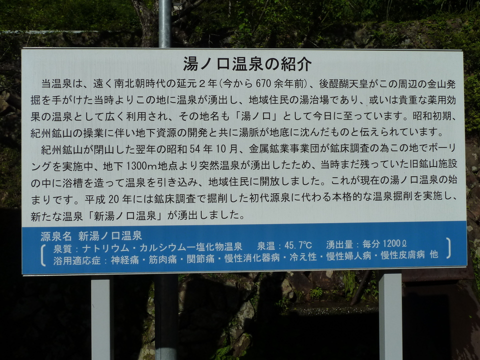 P1010900_mid.jpg