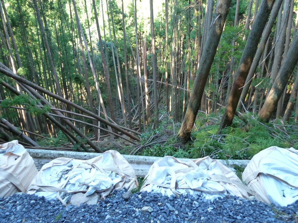 P1010913_mid.jpg